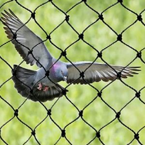 Supplier of Anti Bird Net in UAE